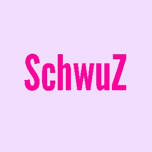 SchwuZ mit Respektpreis ausgezeichnet