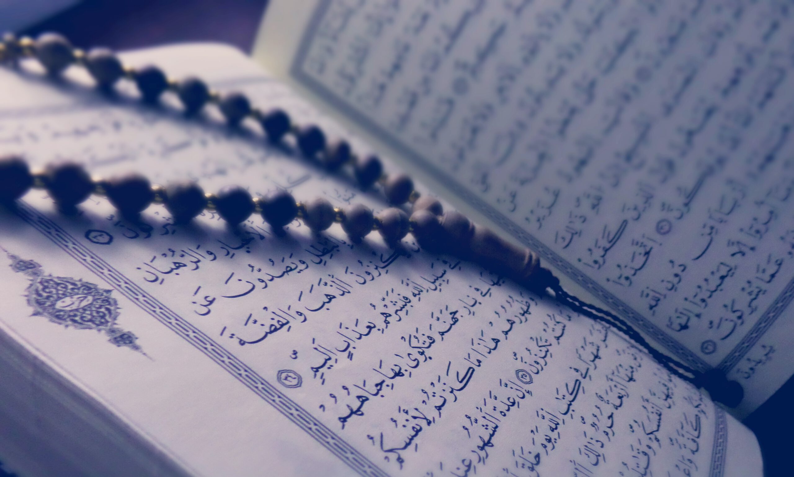Die Kopftuchverordnung & was der Koran dazu sagt